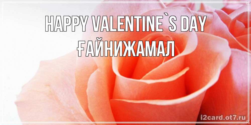 Greetings card с именем, ҒАЙНИЖАМАЛ Happy Valentine`s Day открытка на день Святого Валентина с розовой розой Greetings with text for free download 
